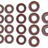 Enduro Bearings Kit Roulements ABEC 3 Max Pour Mondraker Système Zero 10 1 Enduro Bearings Kit Roulements ABEC 3 Max Pour Mondraker Système Zero 10 -E-Bike Boutique En Ligne 423916