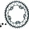 Absolute Black Plateau Gravel Oval Narrow Wide 110 Mm 5 Trous Gris 2022 -E-Bike Boutique En Ligne 425570